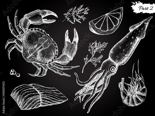 Vector vintage hand drawn seafood set.