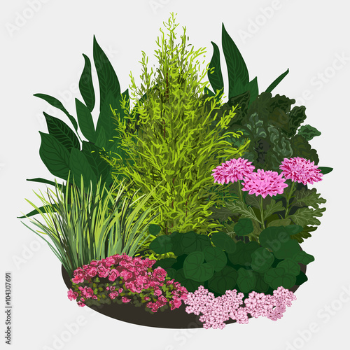 Garden landscapes, summer and spring flower bed. Vector flat illustrations