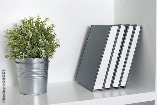 Plant with some books on a shelf.
