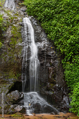 Fototapeta Naklejka Na Ścianę i Meble -  Waterfall in the forest