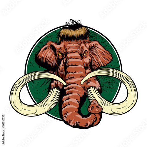 mammoth head