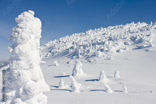 mountain landscape in winter