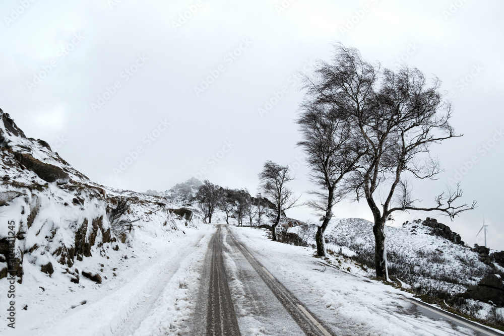 Obraz premium Snow in the mountain IV