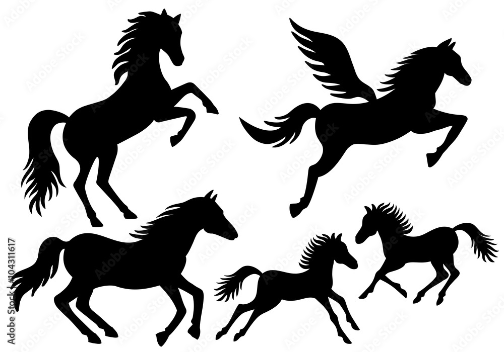 Fototapeta premium Horse silhouettes, vector