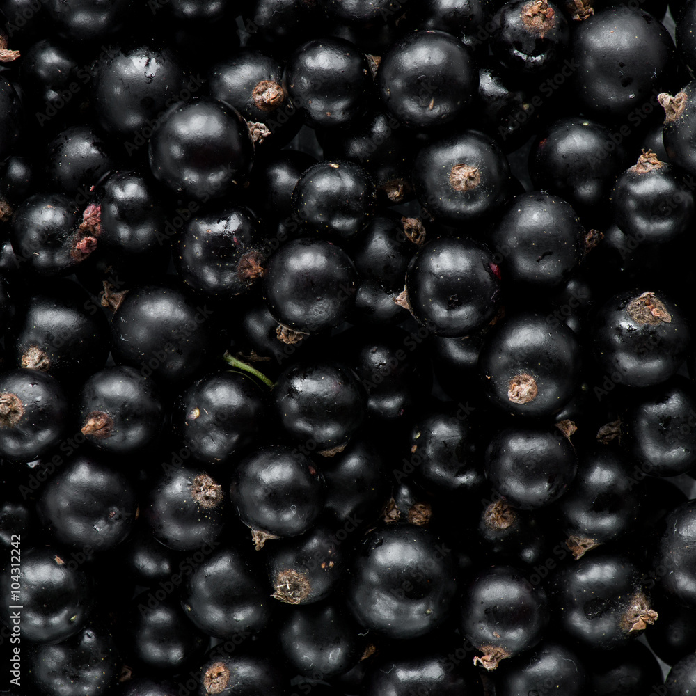 black currant background top view black currant background top view