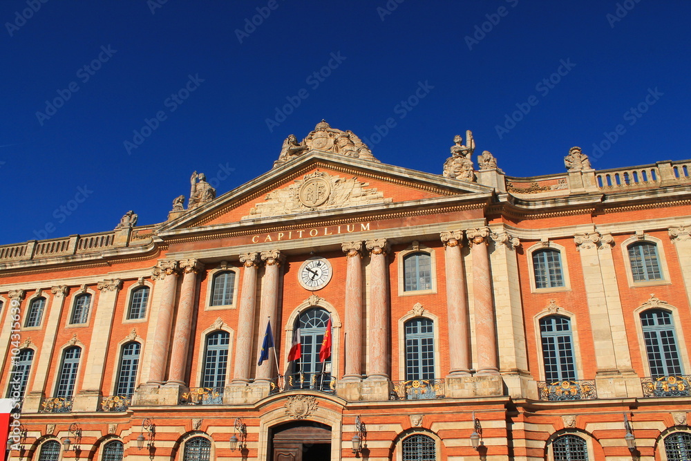 Obraz premium Le Capitole à Toulouse, France