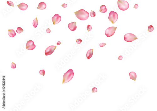 Abstract background with flying pink rose petals.