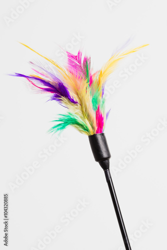 Feathered toy for cats over white background