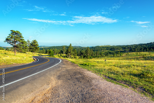 Road curving though the Black Hills National Forest in South Dakota photo