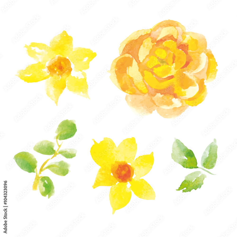 Vector floral collection of yellow flowers and green leaves. Watercolor ...