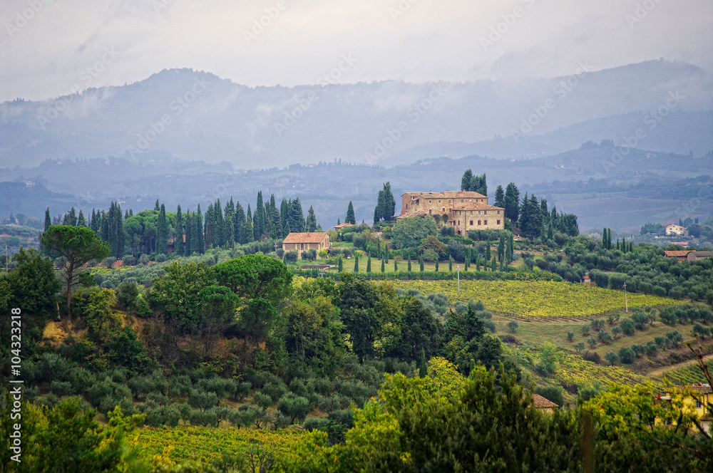 Typical landscape in the Tuscany, Italy.