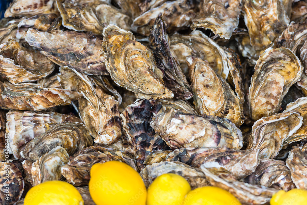 Oysters market in Cancale, France Oysters market in Cancale, France