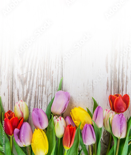 Colorful tulips on wooden t...