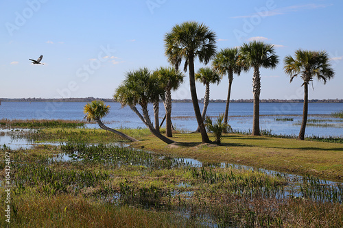 Wasser und Seen im Wildpark Orlando