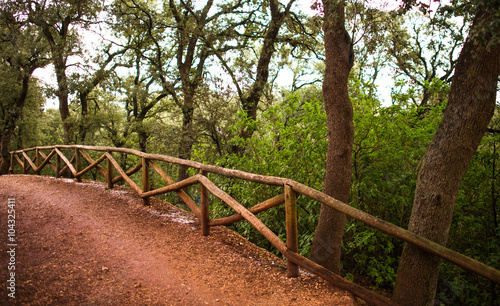 Wooden fence