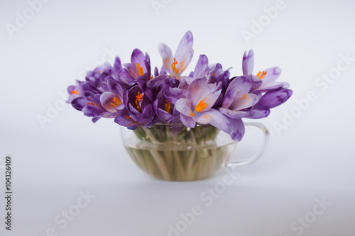Fototapeta Naklejka Na Ścianę i Meble -  Violet flower