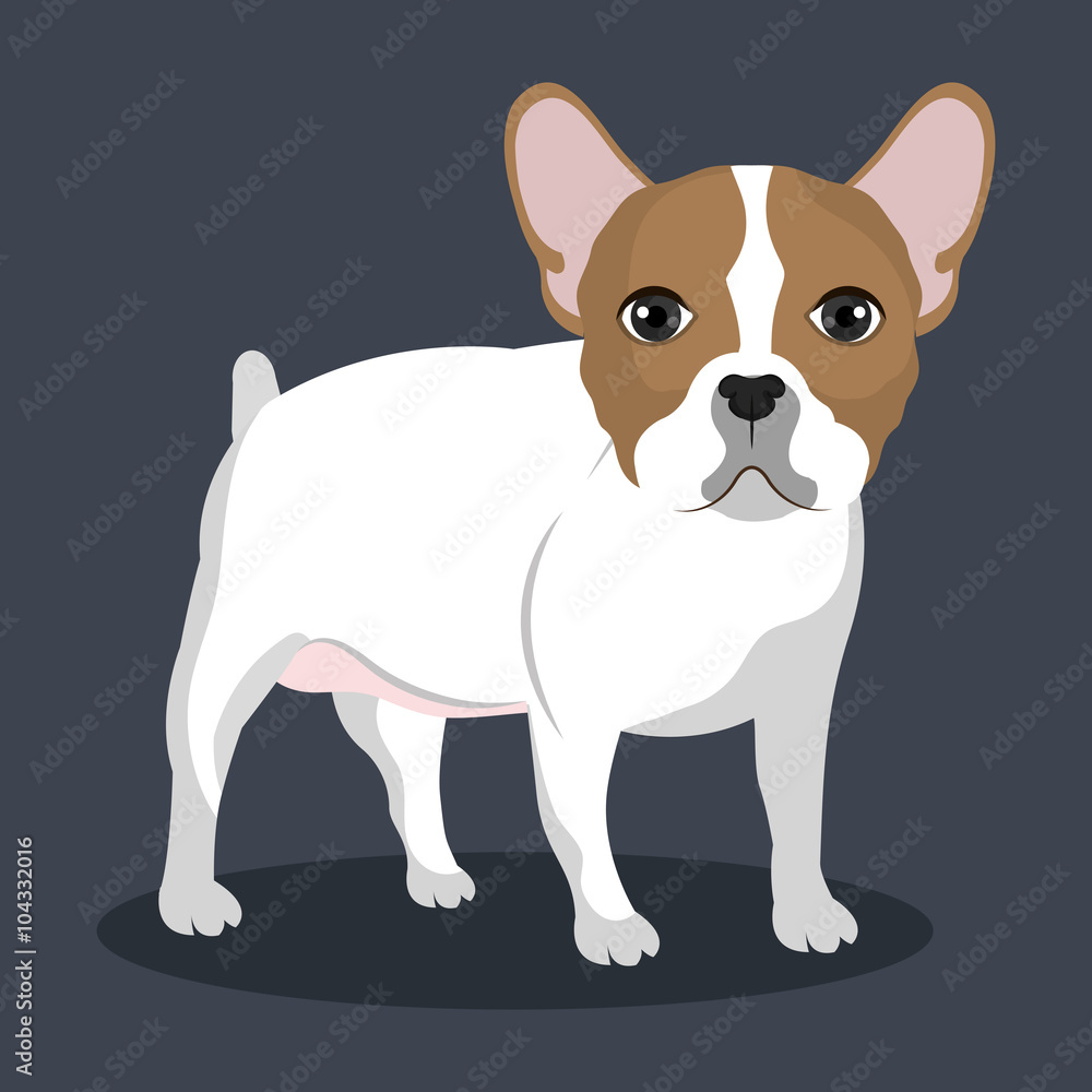 bulldog breed design bulldog breed design