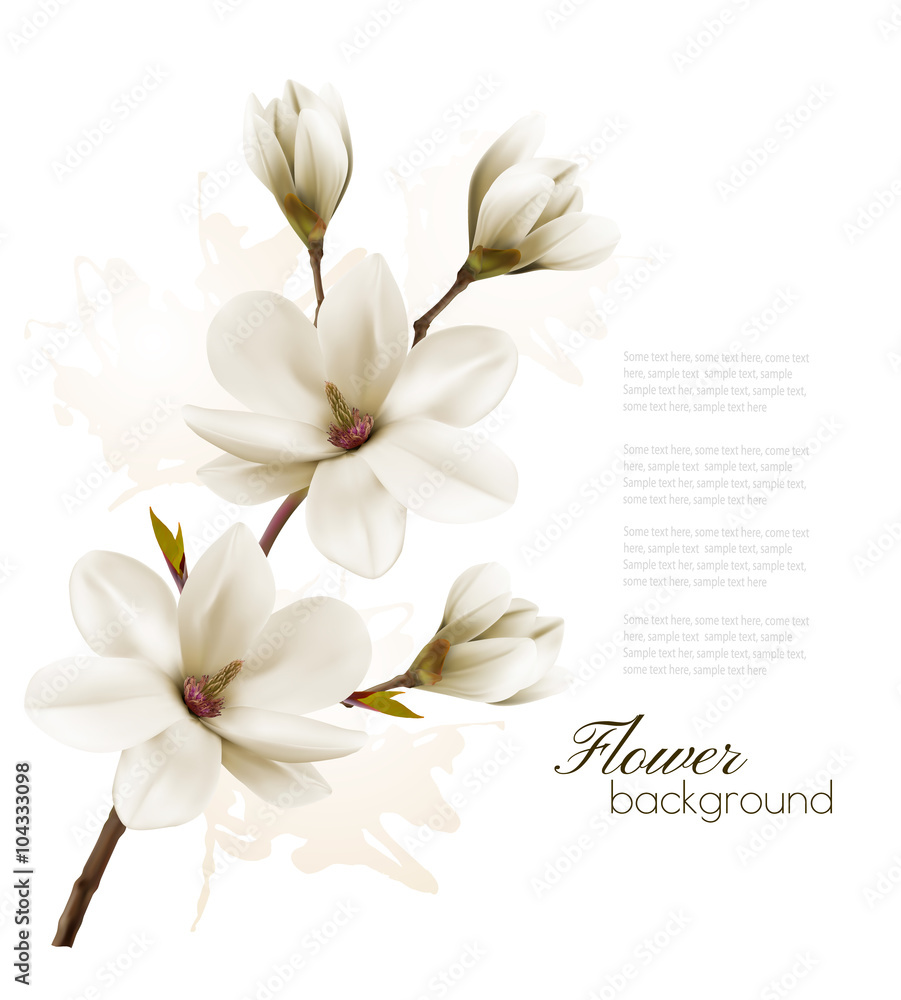 Naklejka premium Spring background with blossom brunch of white magnolia. Vector