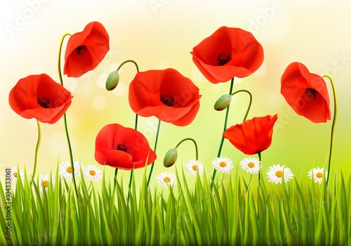 Fototapeta Naklejka Na Ścianę i Meble -  Green poppy background. Vector.