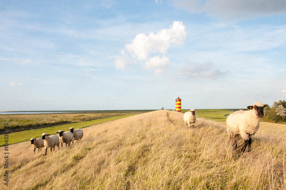 Fototapeta premium Pilsumer Leuchtturm Nordsee