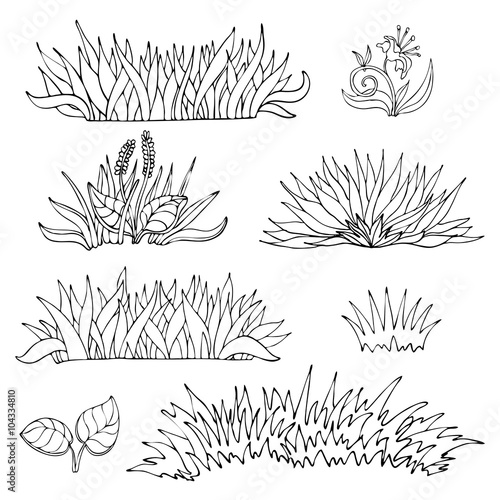 Hand-drawn grass. Vector illustration.