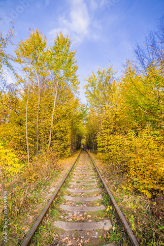 Old railway in forest