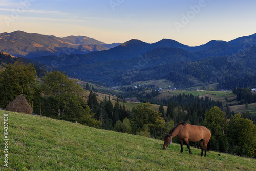 Horse on the slope on mountain background at evening