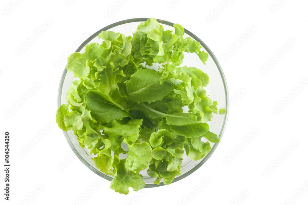 fresh spring green salad in glass bowl on isolate background fresh spring green salad in glass bowl on isolate background