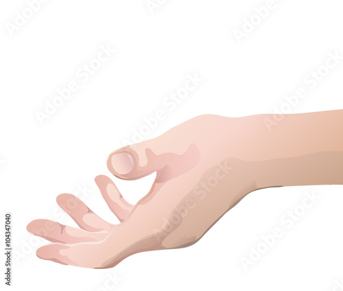 hand illustration 