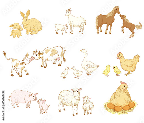 Baby and mother animals