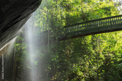 Serenity Falls in Buderim, Sunshine Coast, Australia. Located in the Buderim Forest waterfall walk.