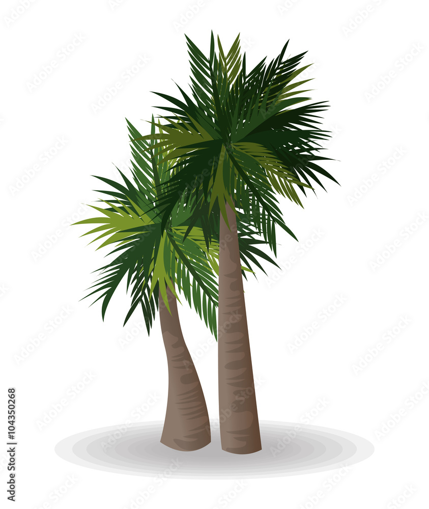 Obraz premium Tropical icon design 