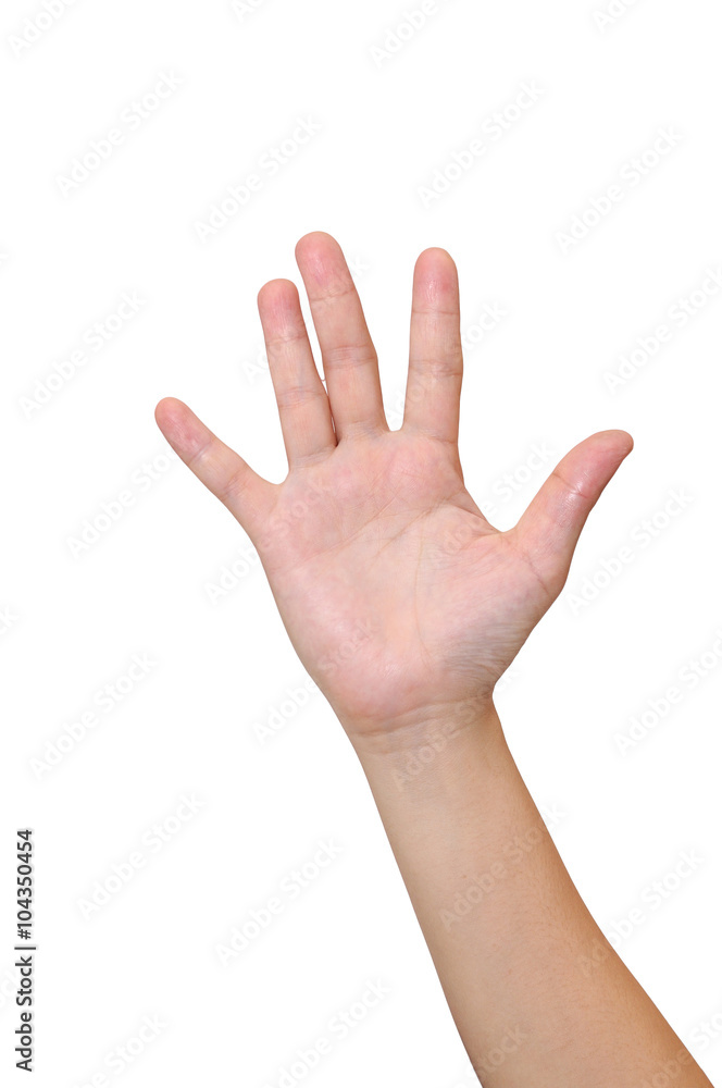 Middle woman hand signs isolate on white background, with clippi Middle woman hand signs isolate on white background, with clippi