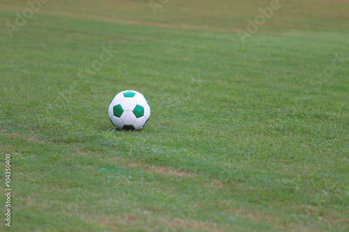 ball on a green lawn.
