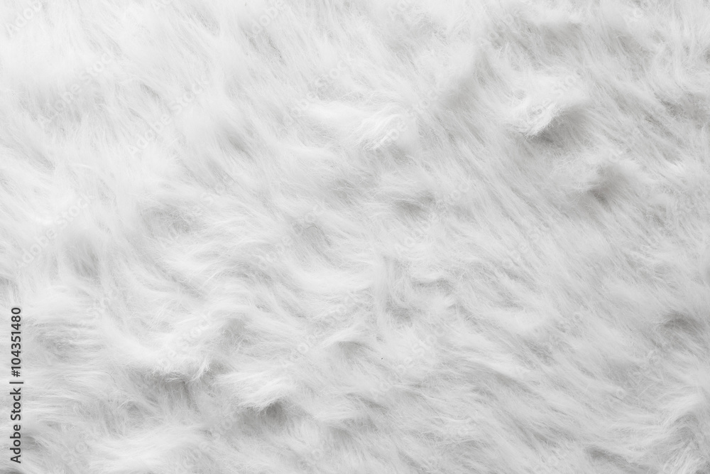 Sheep wool fur background texture wallpaper. Sheep wool fur background texture wallpaper.