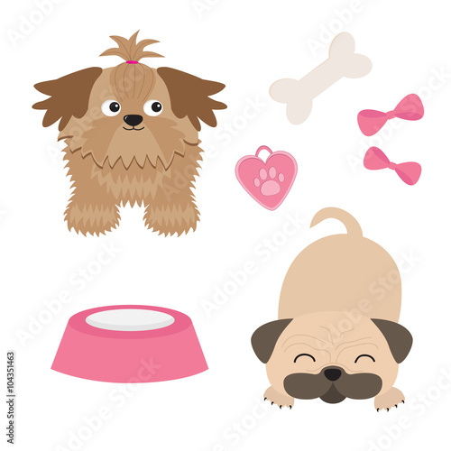 Shih Tzu and pug mops dog set. Isolated. Flat design.