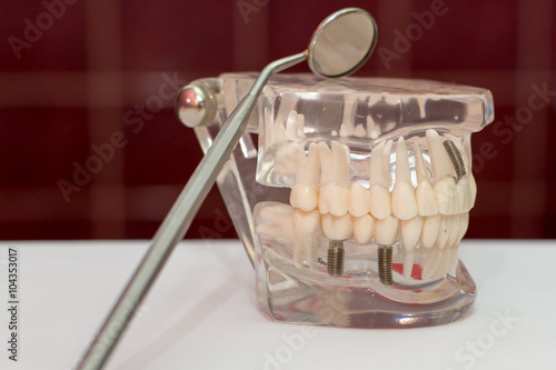 stomatology