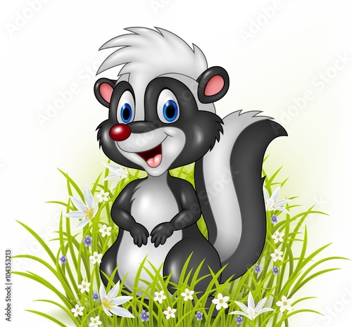 Cartoon skunk on grass background