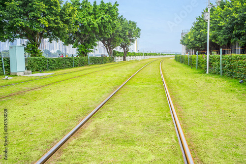 tracks with grass