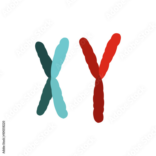 X and Y chromosome icon photo