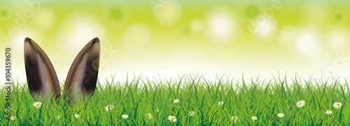 Easter Spring Background Bunny Ears Header