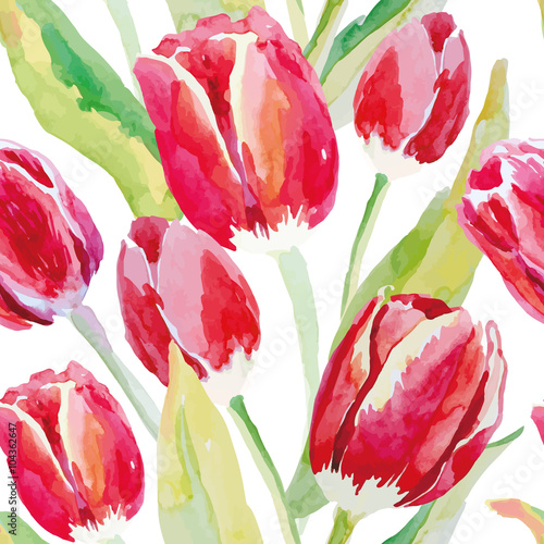 Red tulips on the white background. Watercolor vector seamless pattern with spring flowers. #104362647