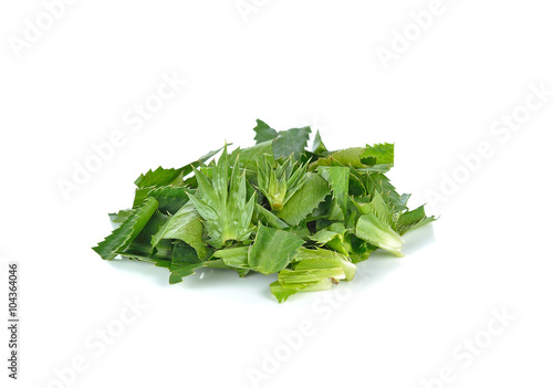 Chopped cilantro, parsley, spring isolated on white background