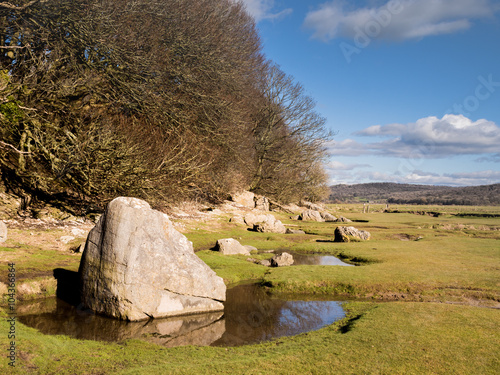 Jenny Brown's Point, Silverdale, Lancaster, Lancashire, UK photo