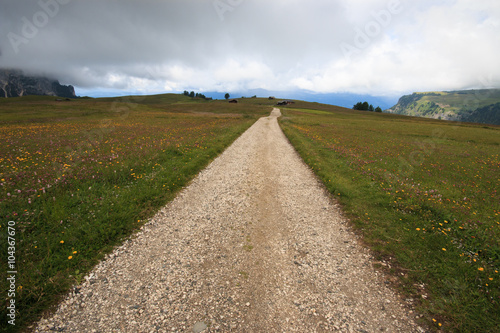 sentiero sull Alpe di Siusi  Alto adige 