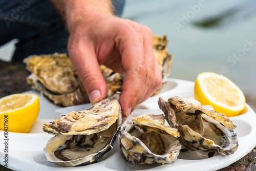 Male hand holding oysters