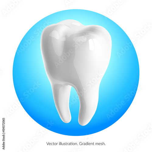 Tooth on a blue background. Vector (ID: 104372065)