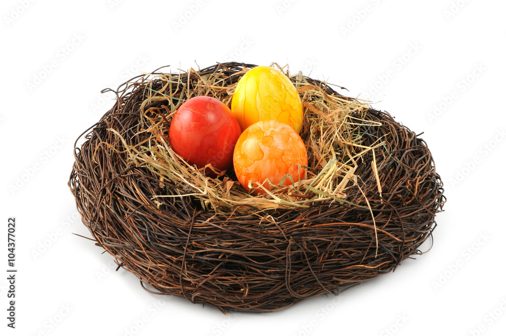 Obraz premium Easter eggs in nest on white isolated background