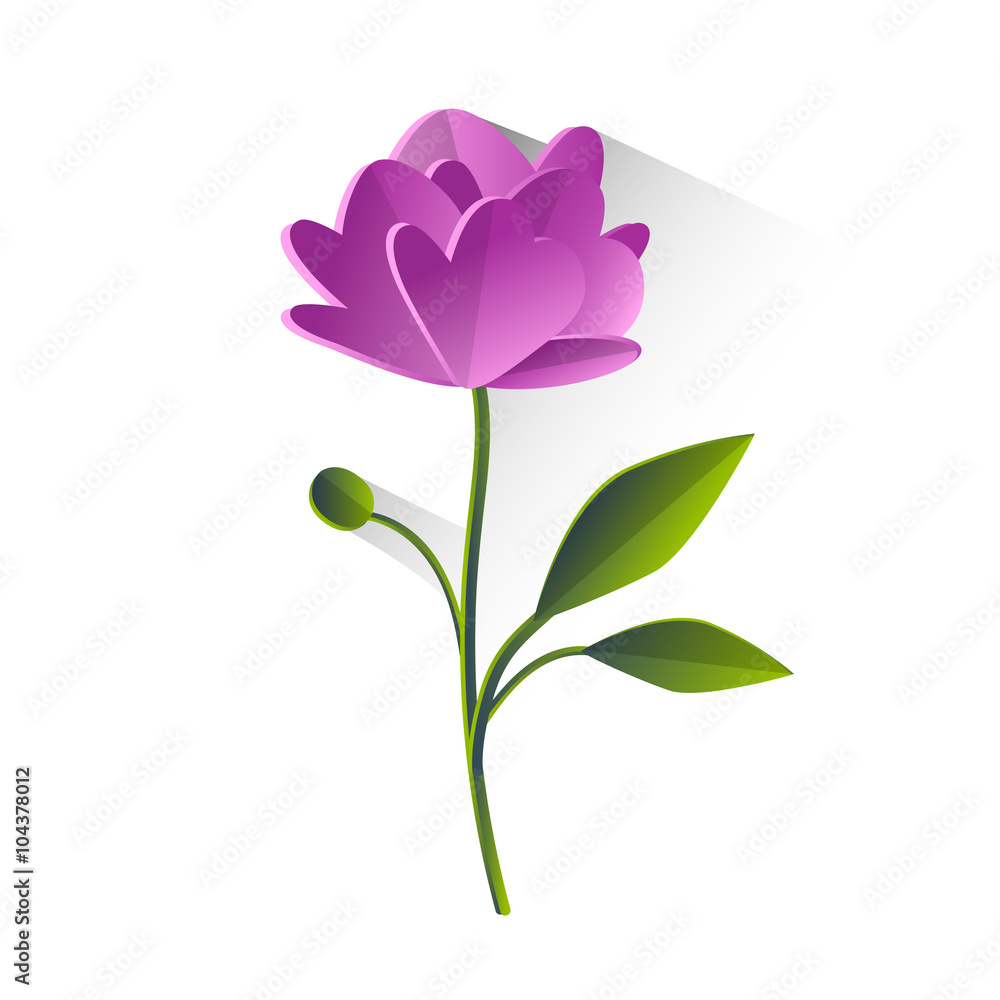 Peony Flower Violet Green Leaf Isolated Peony Flower Violet Green Leaf Isolated