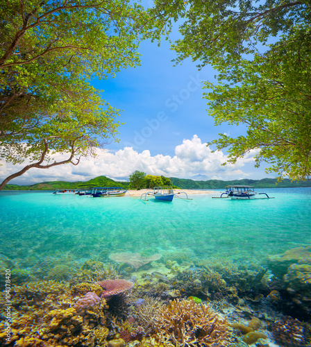 coral reef in background of tropical desert island